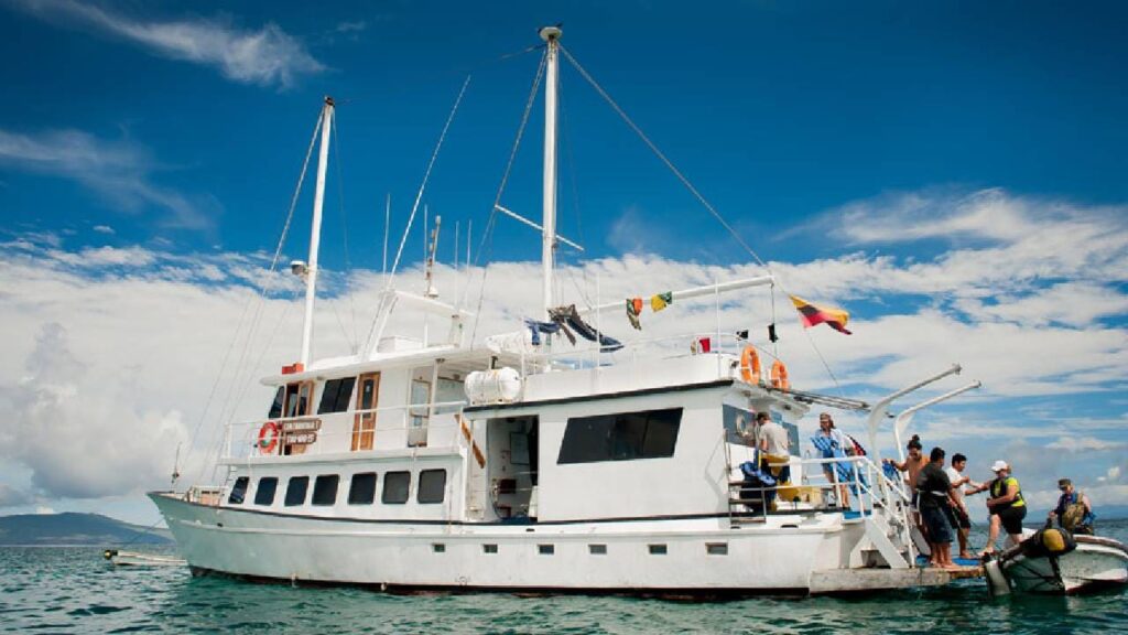 Golondrina Gallery 1