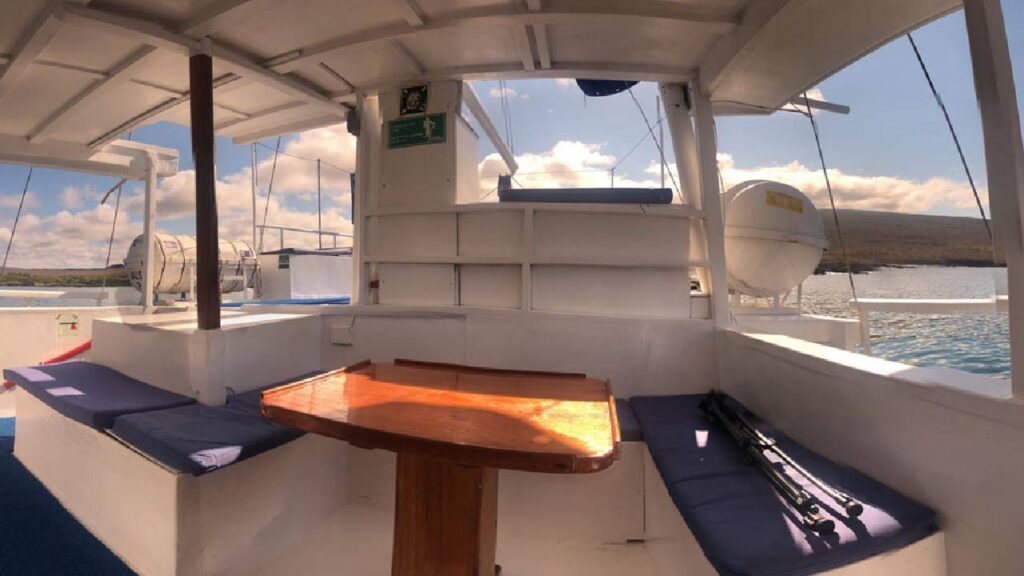 Golondrina Gallery 3