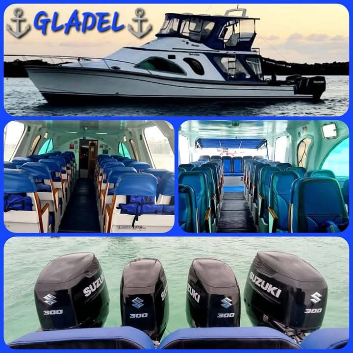 Gladel-208608