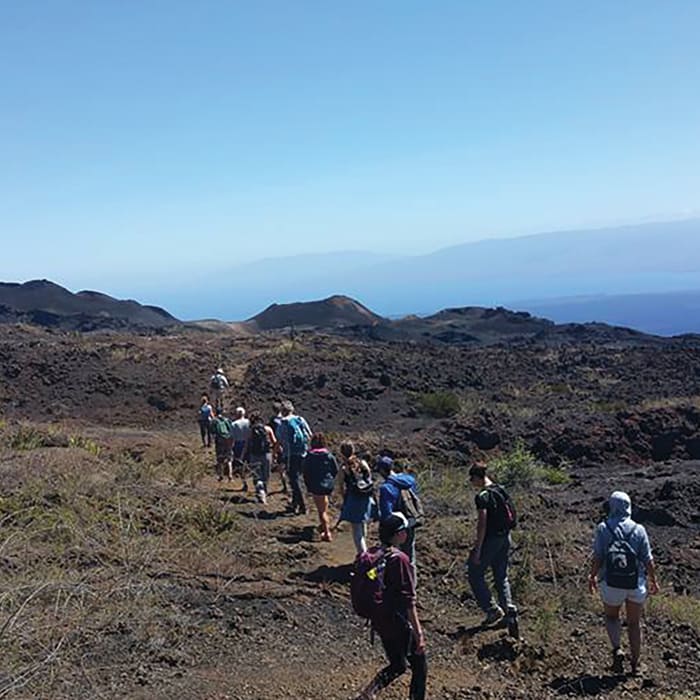volcan0