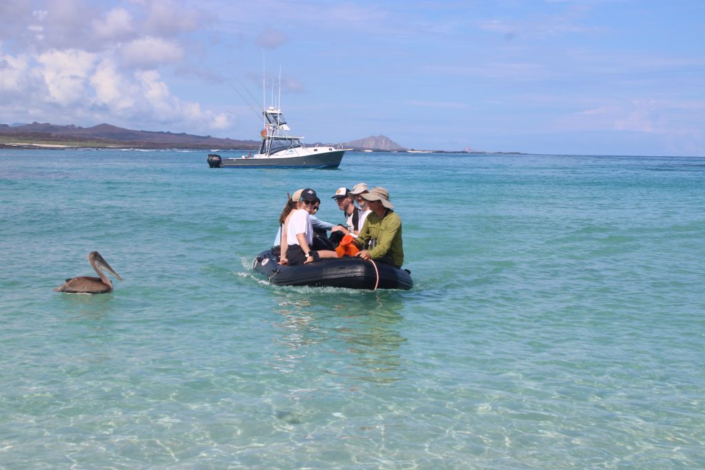 Small boat tour in the Galapagos Islands with clear turquoise water and wildlife