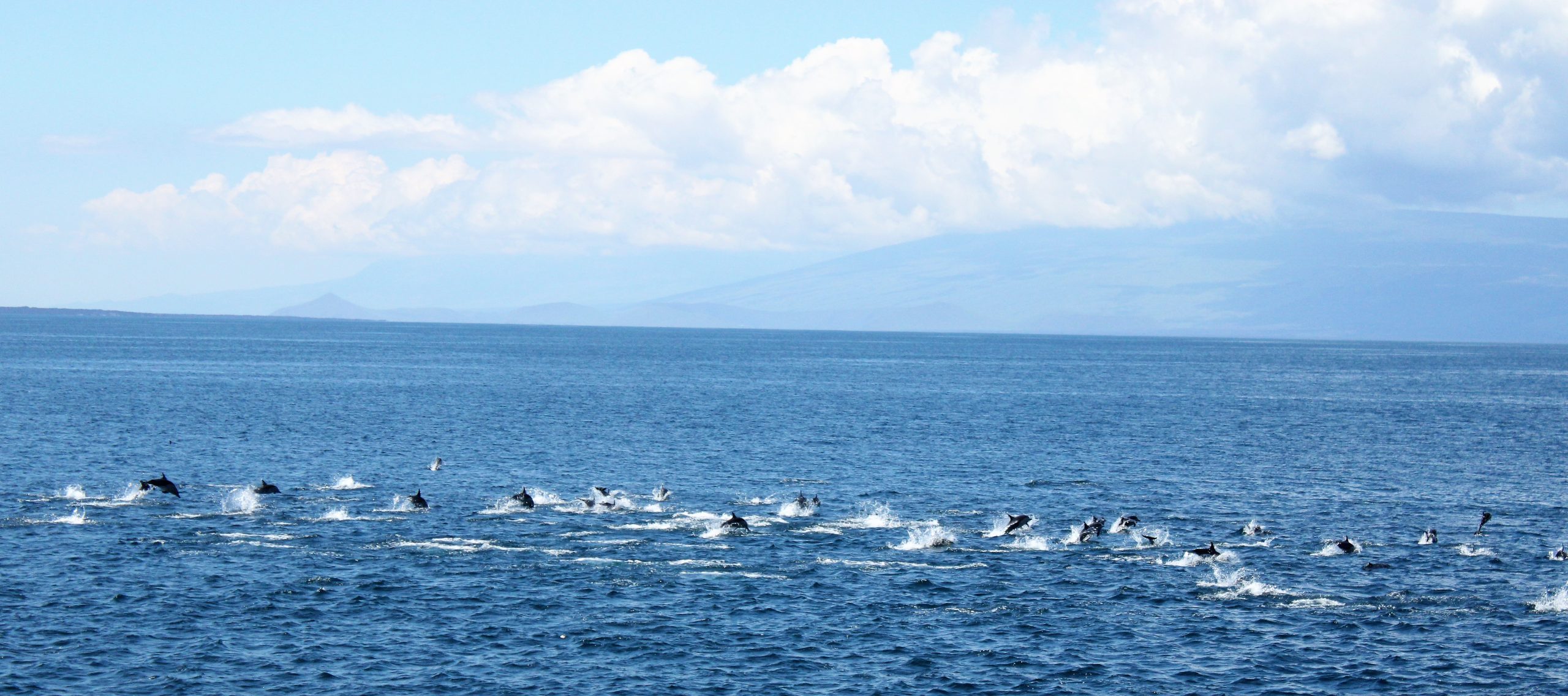 Best time to visit the Galapagos Islands in 2026 with Galaapp