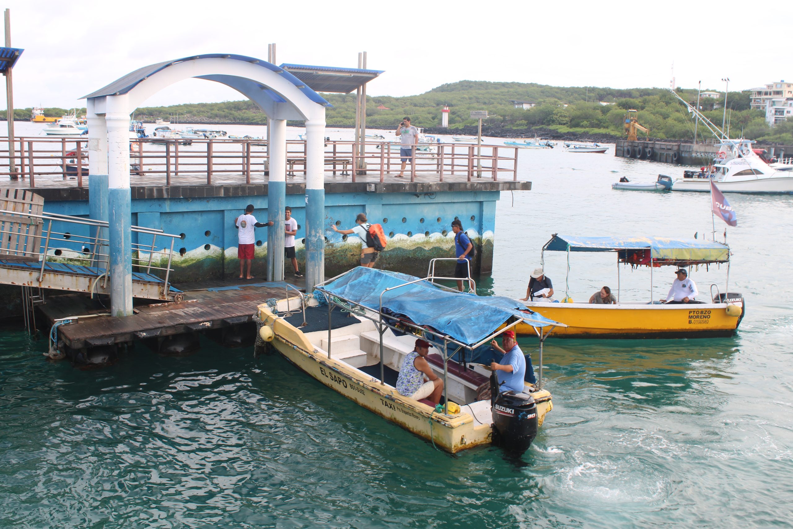 Galapagos cruise vs land-based tour comparison 2026 - which is better for your trip