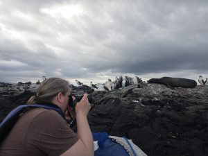 Galapagos travelers