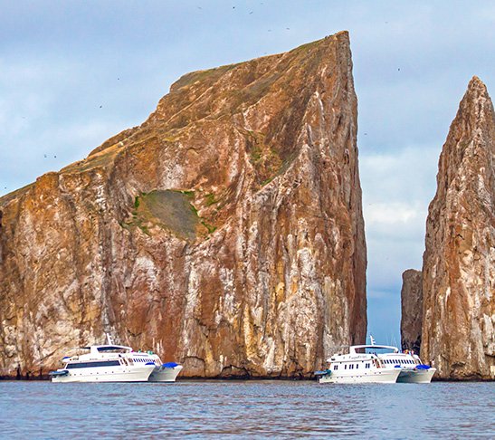 Ocean Spray Catamaran