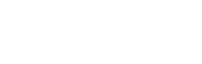 Superintendencia de Compañías, Valores y Seguros