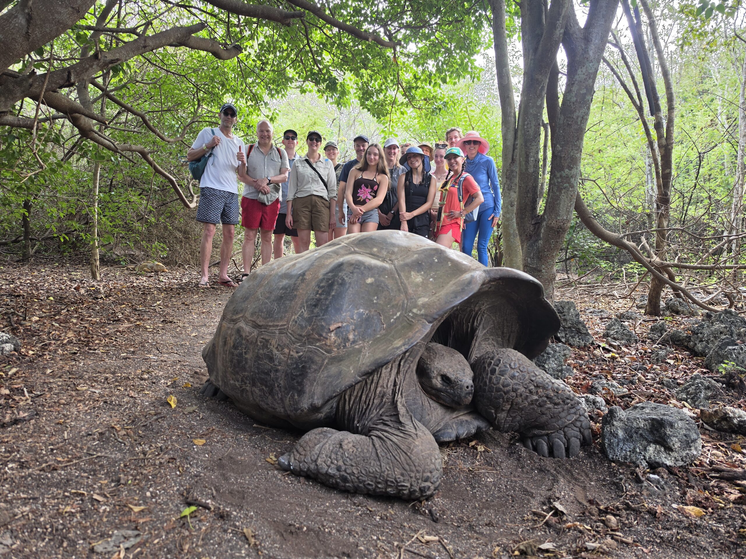 Tourists observe a giant Galápagos tortoise, illustrating rising overtourism pressure on the islands