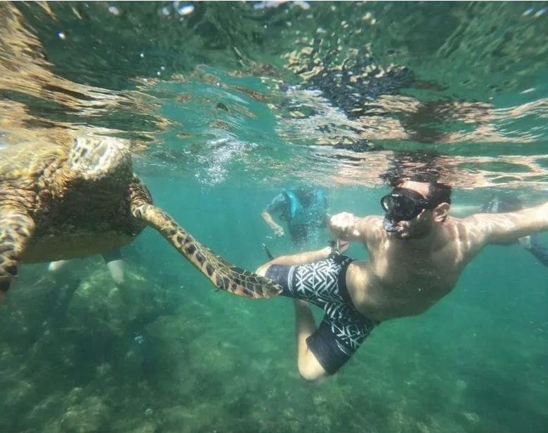 Snorkeling with a sea turtle, Galápagos
